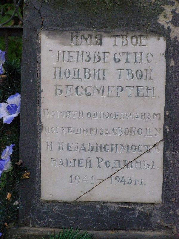 Одиночная могила на кладбище в с. Хибаловка Куликовского района