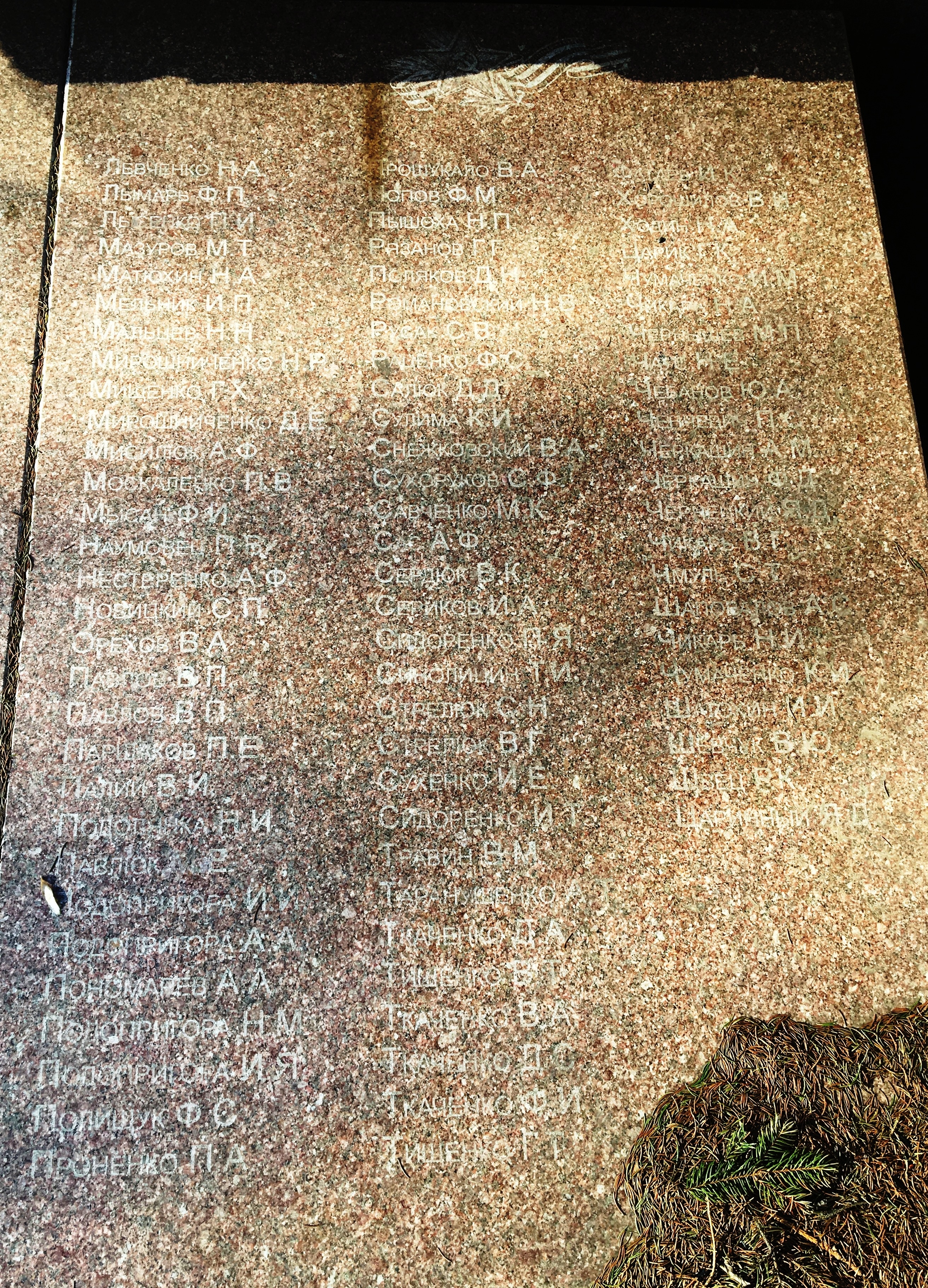 Братская могила в с. Доброполье Добропольского района