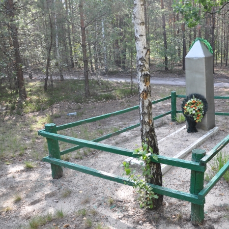 Братская могила в лесу за с. Катюжанка Вышгородского района