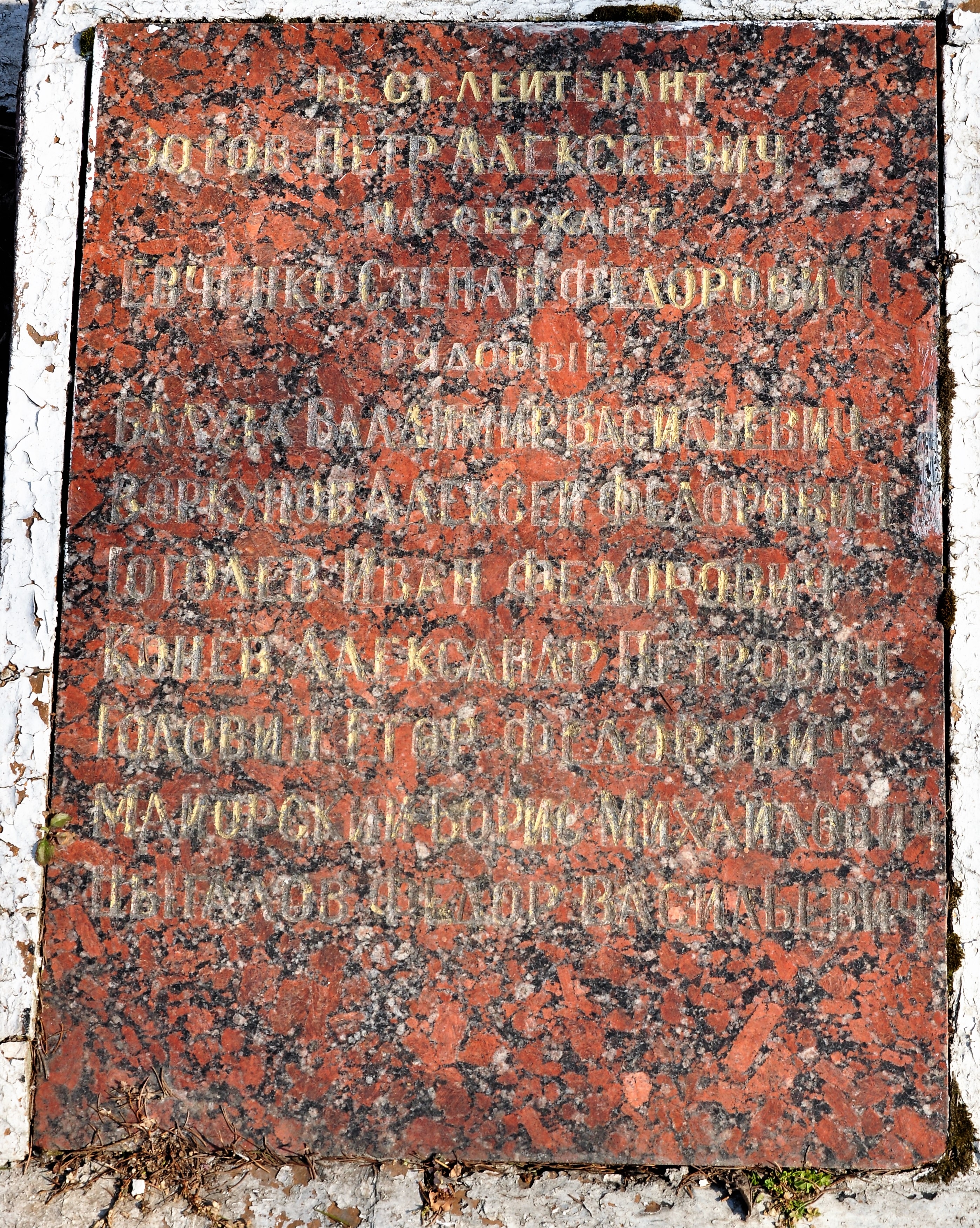 Братская могила в с. Копти Козелецкого района
