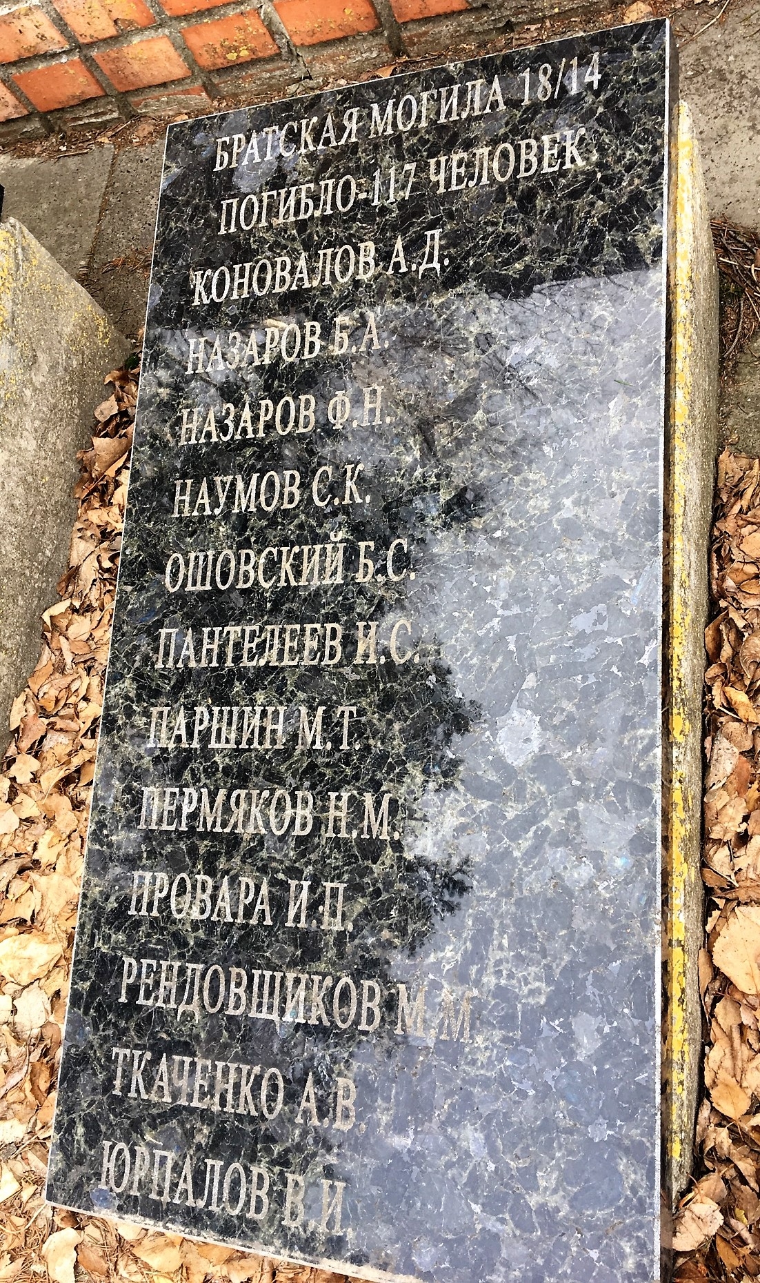 Братская могила в с. Новотроицкое Добропольского района
