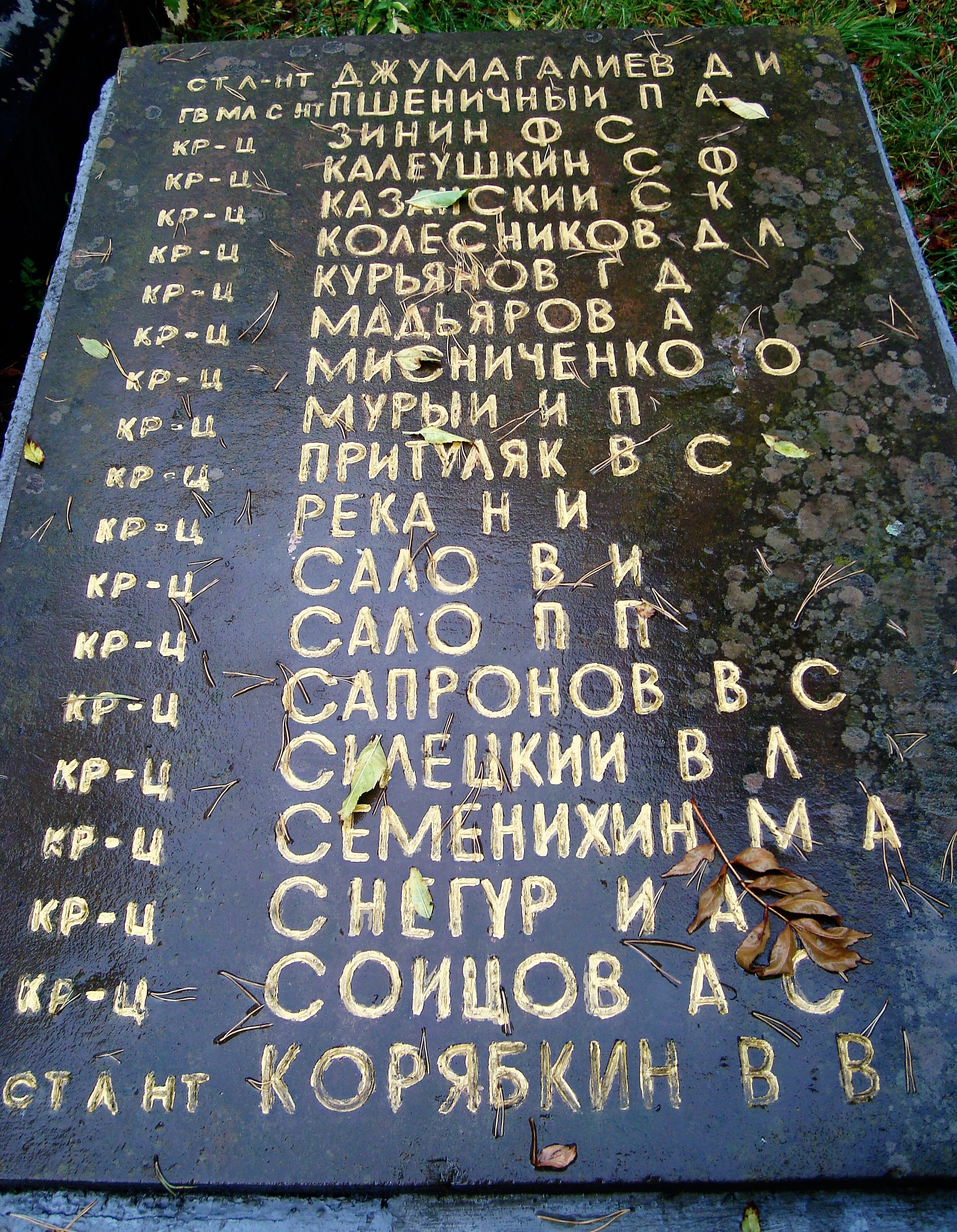Братская могила у РГА в пгт. Верховина