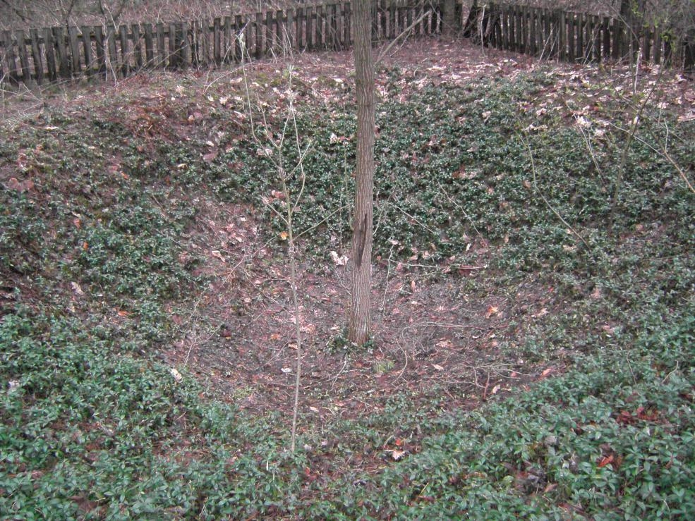 Могила майора Александра Романенко у с. Липовый Скиток Васильковского района