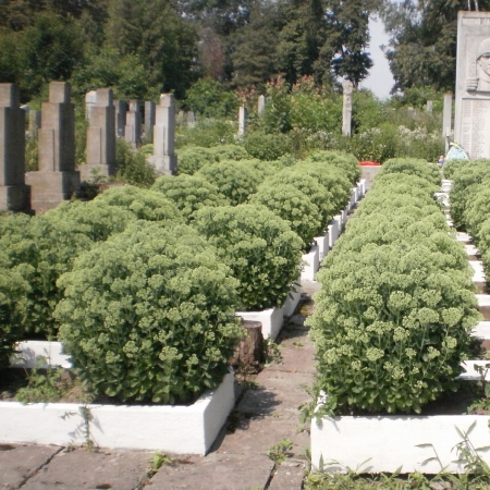 Воинское захоронение на кладбище №2 по ул. Киевской