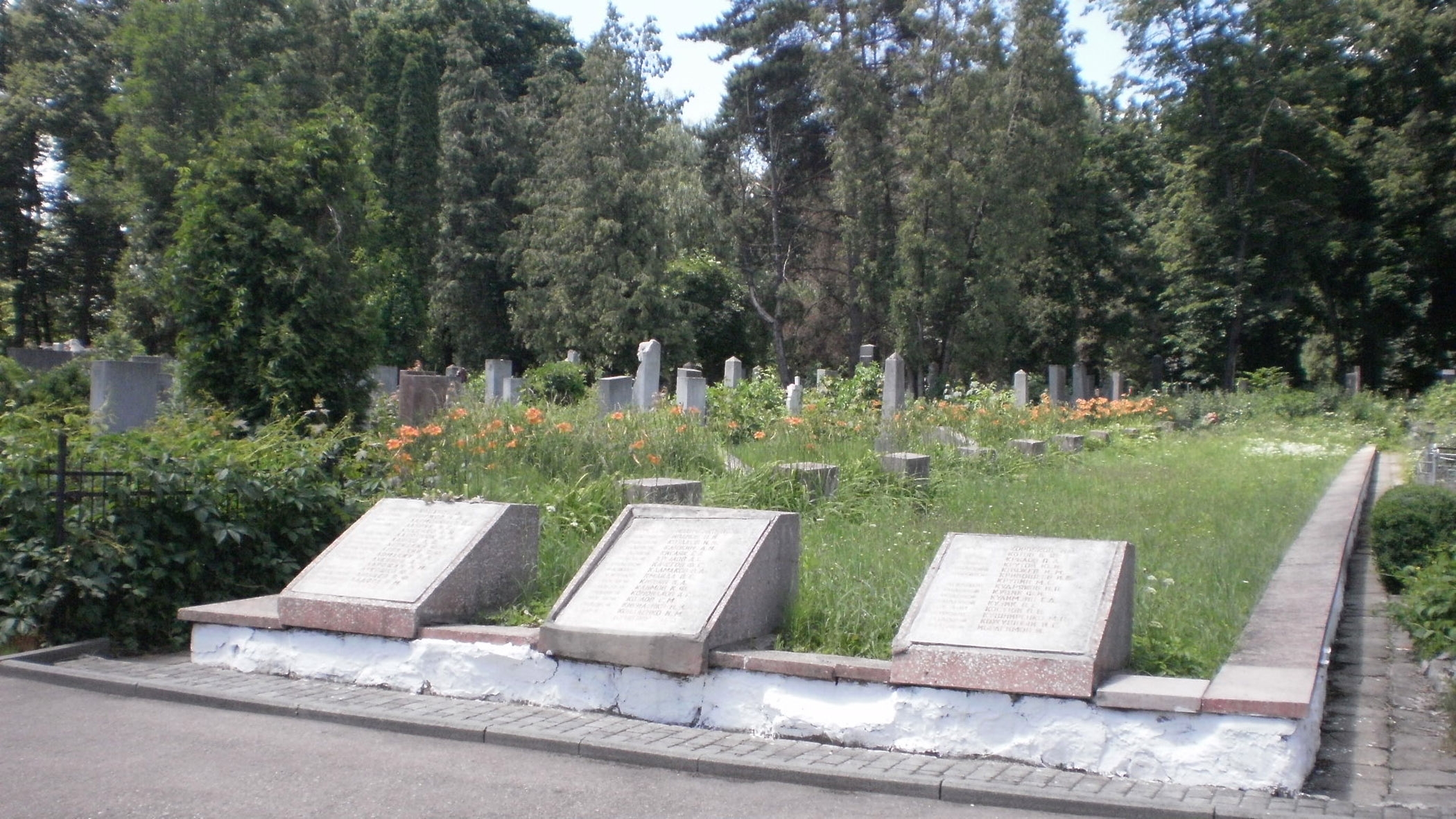 Братская могила с правой стороны дорожки (36,4х5,8 м)