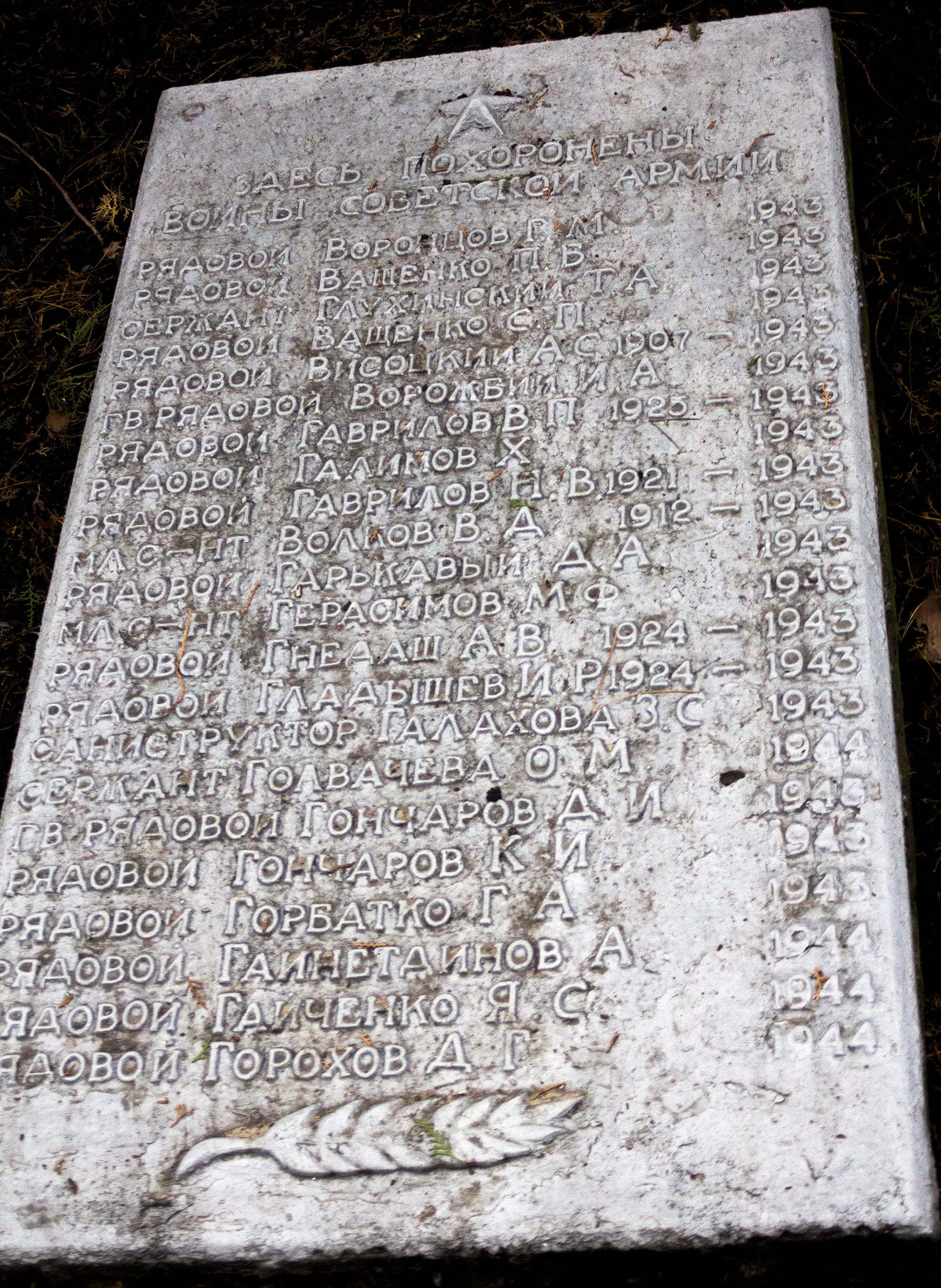 Братская могила в пгт. Петрово Петровского района