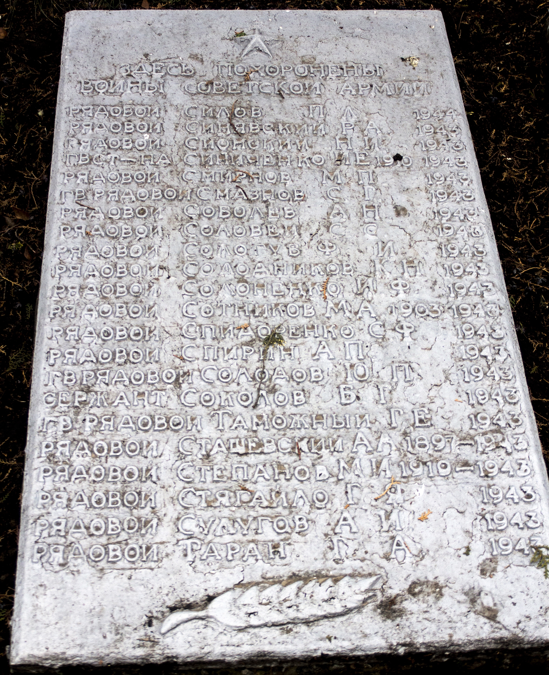 Братская могила в пгт. Петрово Петровского района