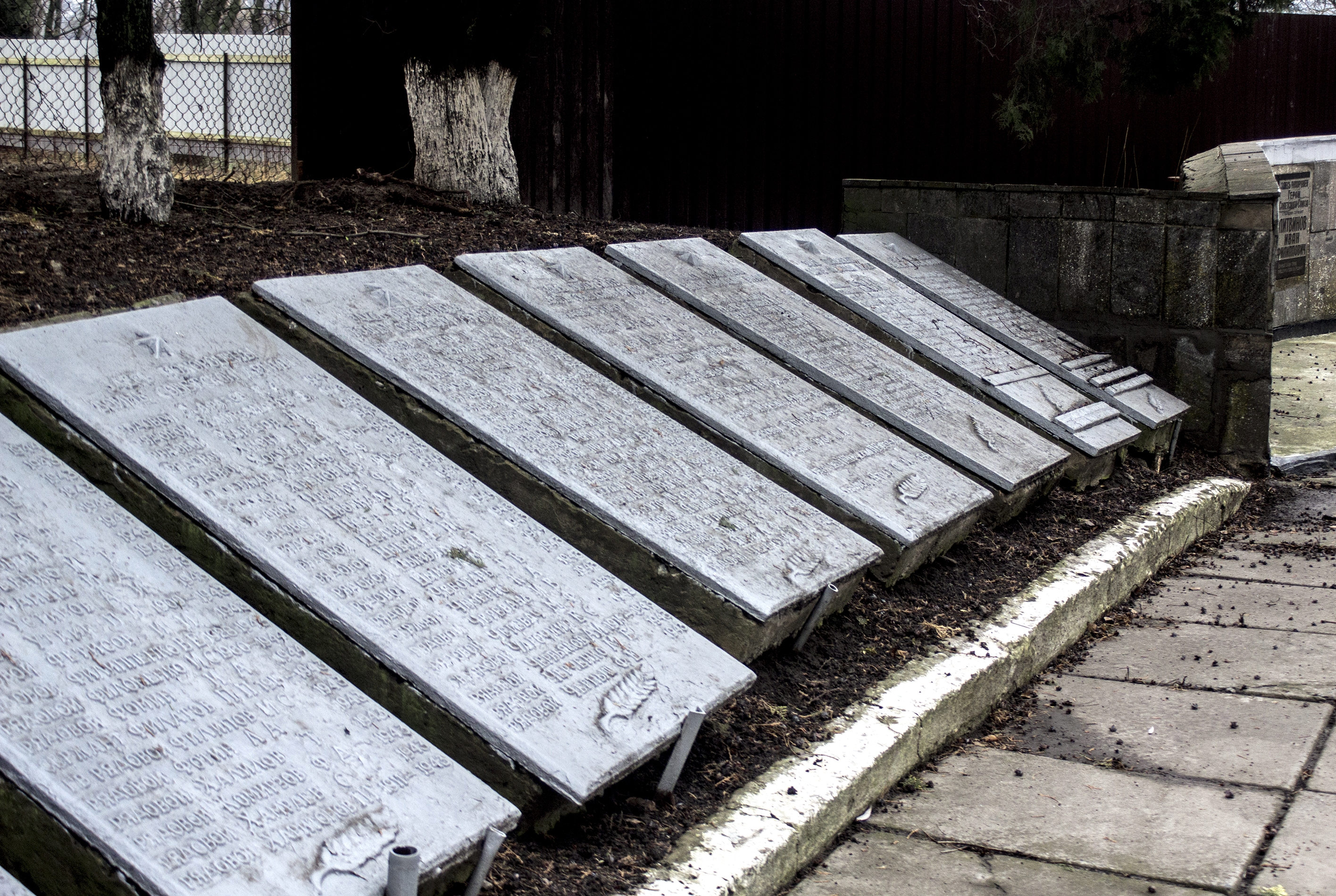 Братская могила в пгт. Петрово Петровского района