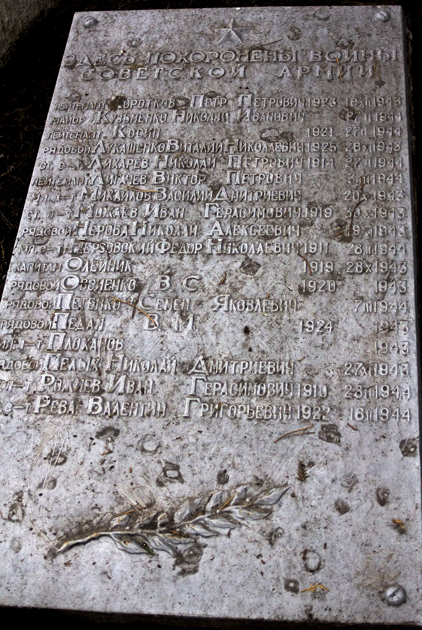 Братская могила в пгт. Петрово Петровского района