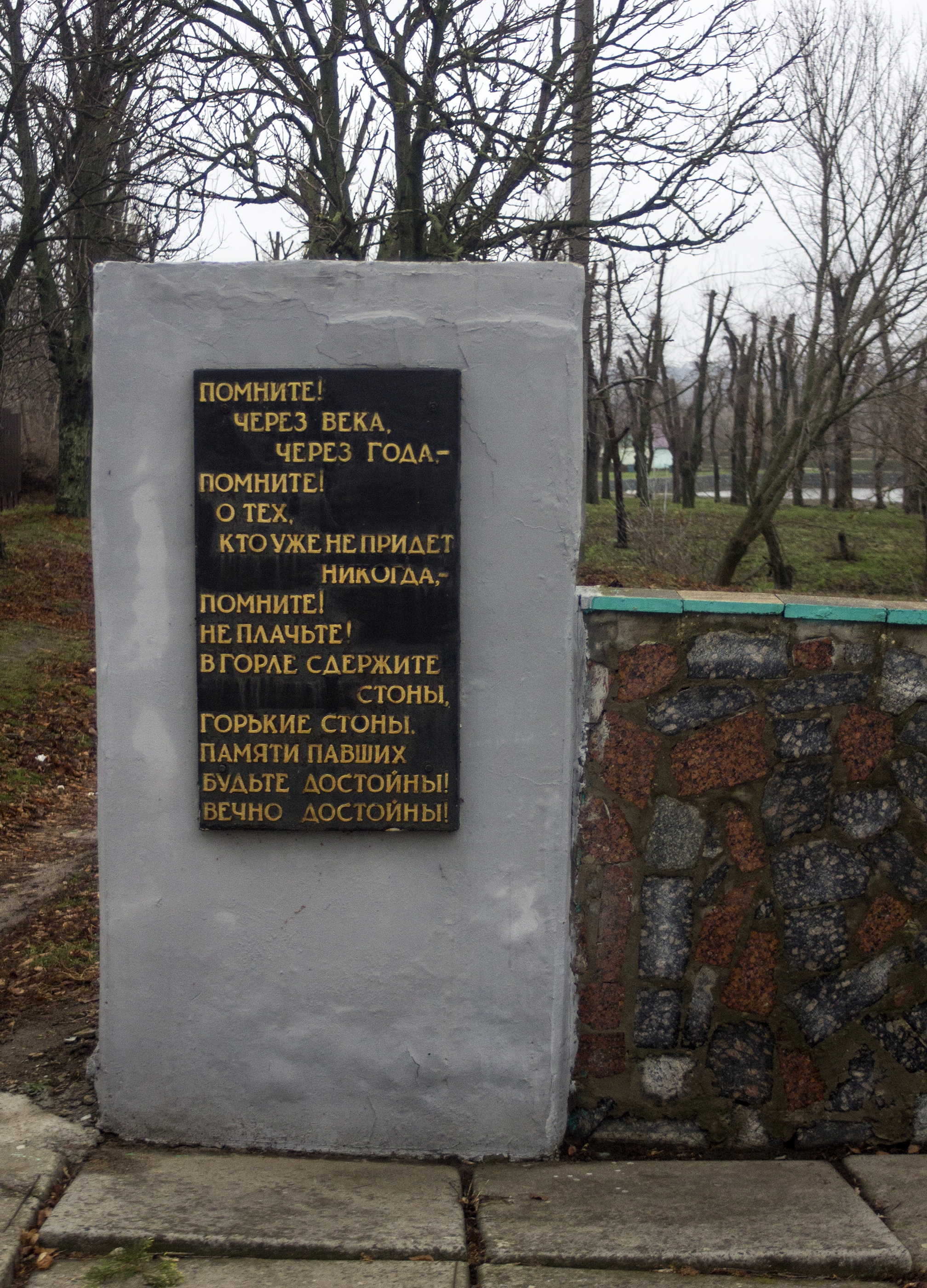 Братская могила в пгт. Петрово Петровского района