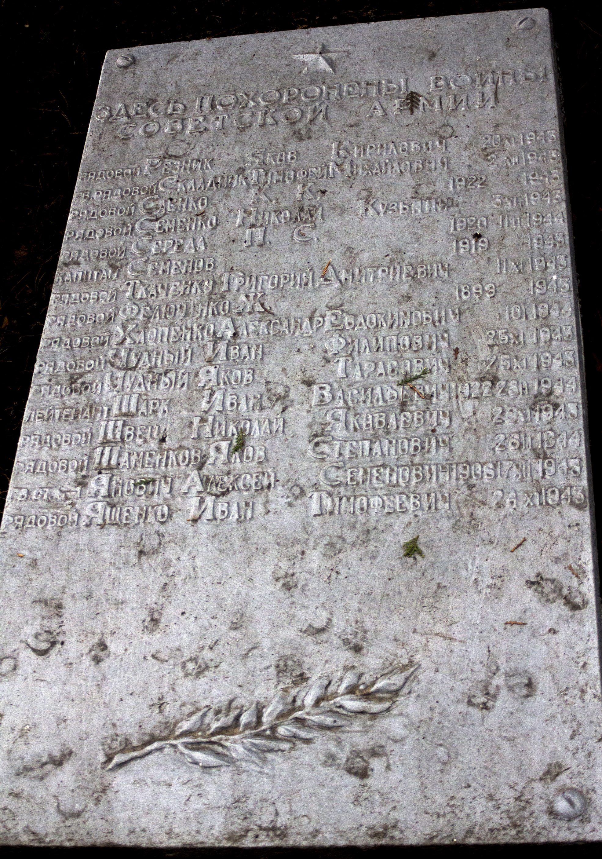 Братская могила в пгт. Петрово Петровского района