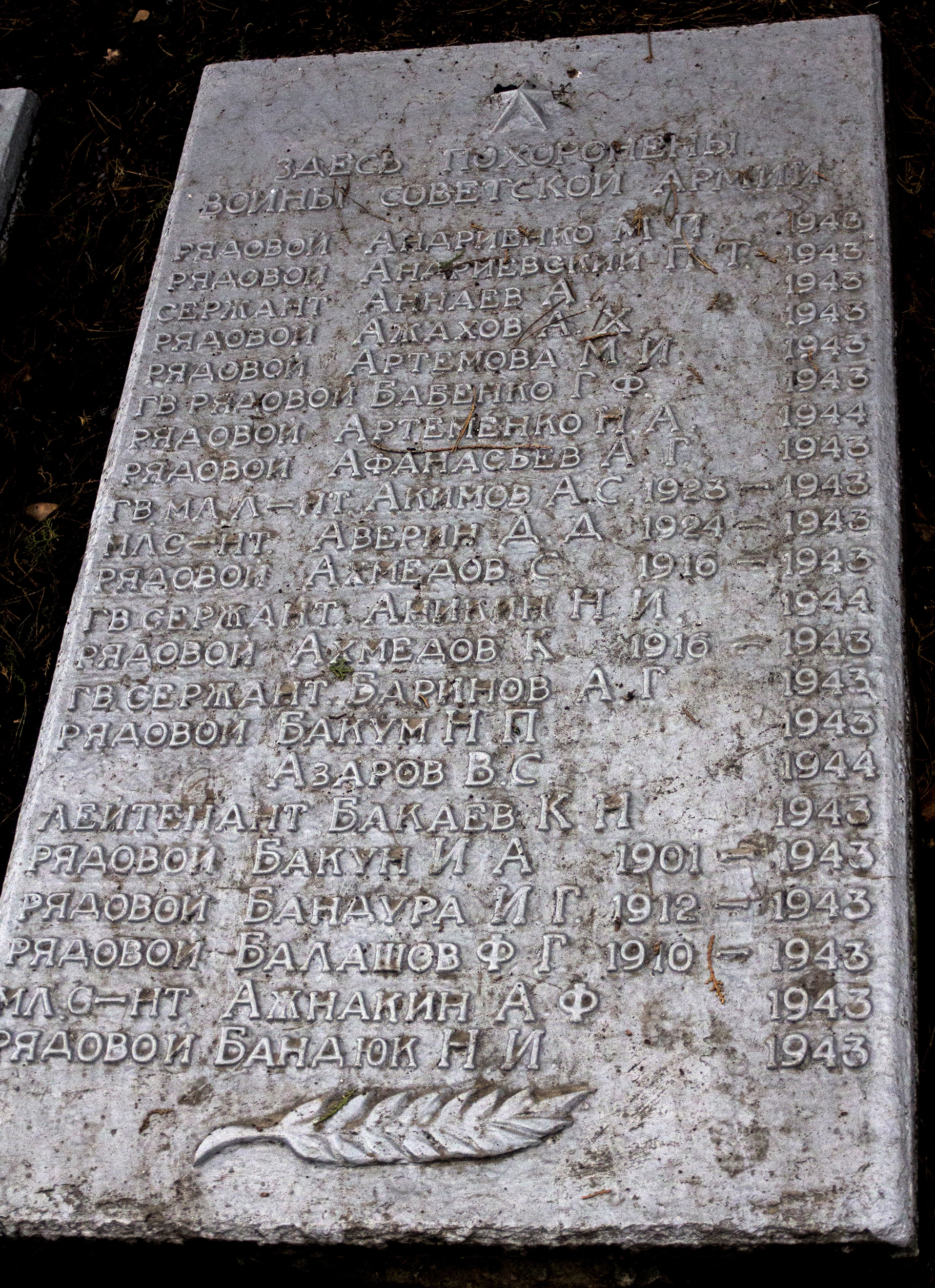 Братская могила в пгт. Петрово Петровского района