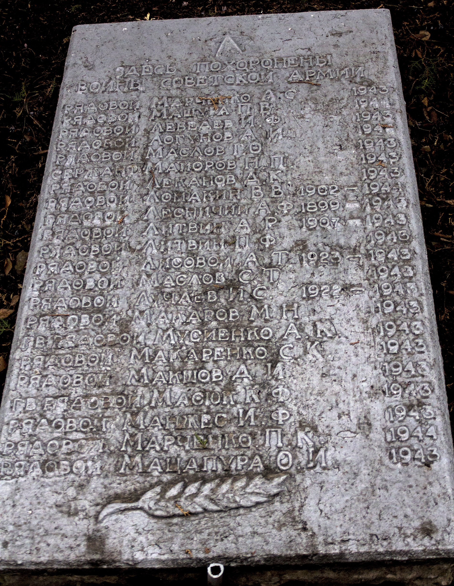 Братская могила в пгт. Петрово Петровского района