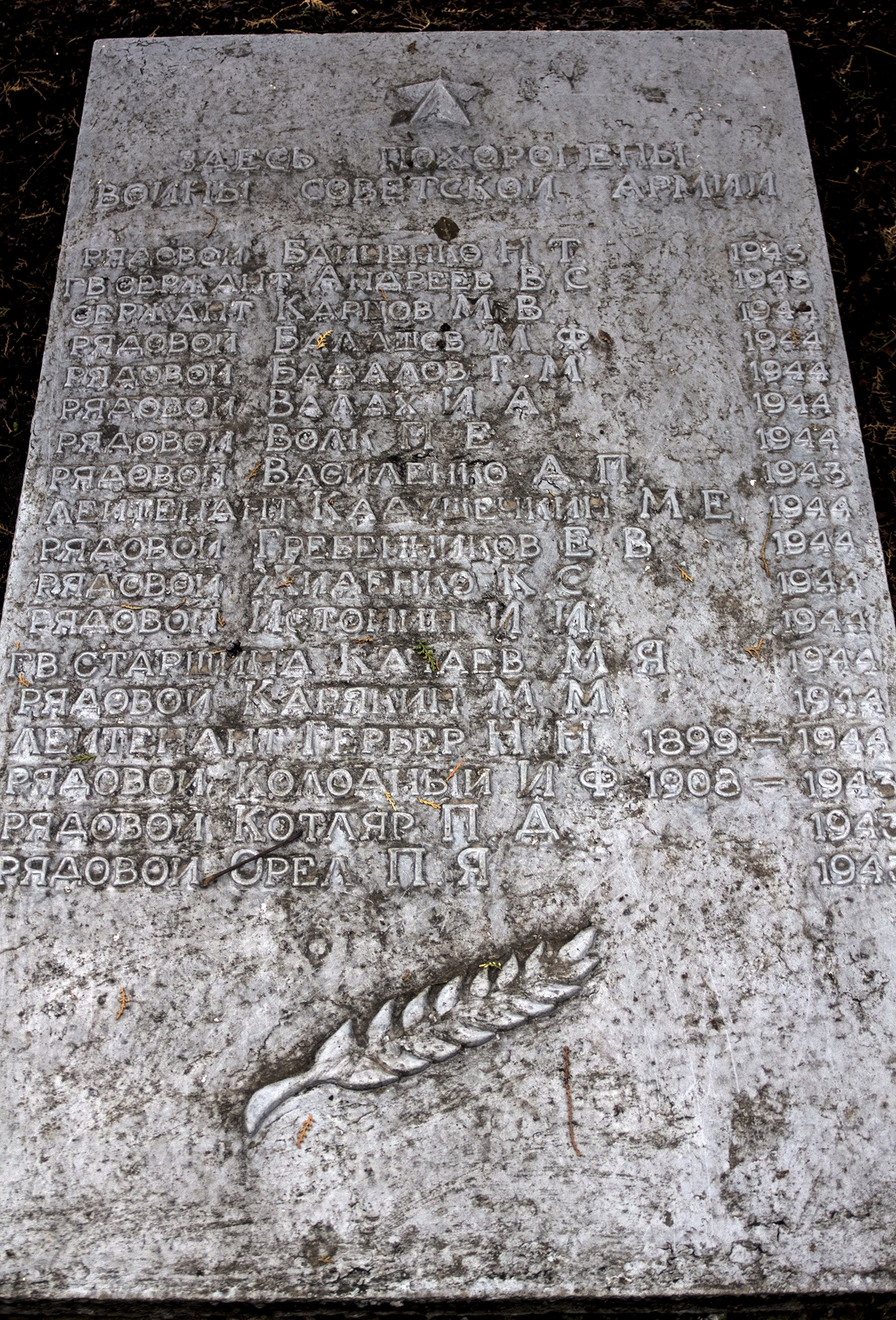 Братская могила в пгт. Петрово Петровского района