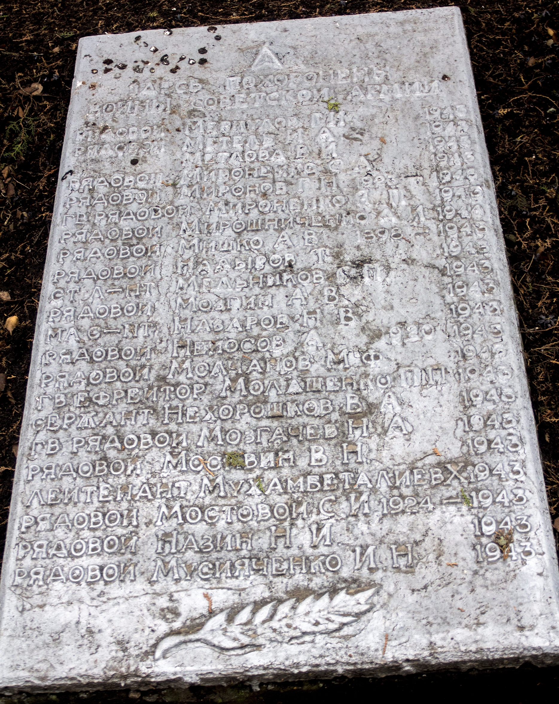 Братская могила в пгт. Петрово Петровского района