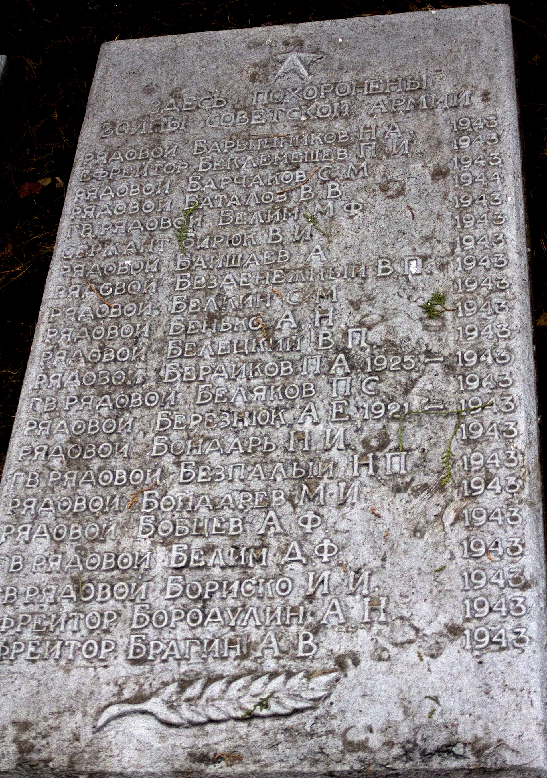 Братская могила в пгт. Петрово Петровского района