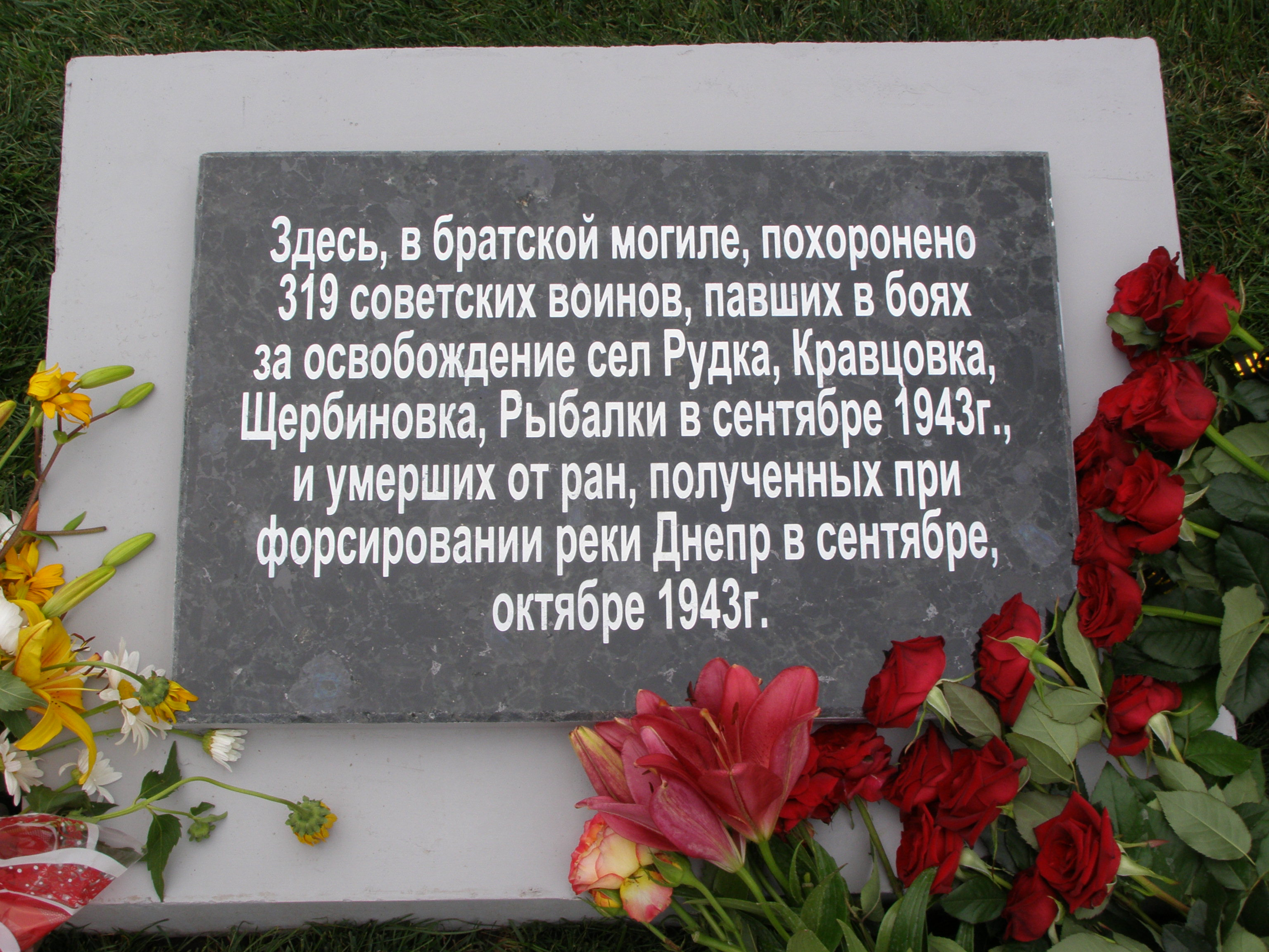 Братская могила в с. Рудка Царичанского района