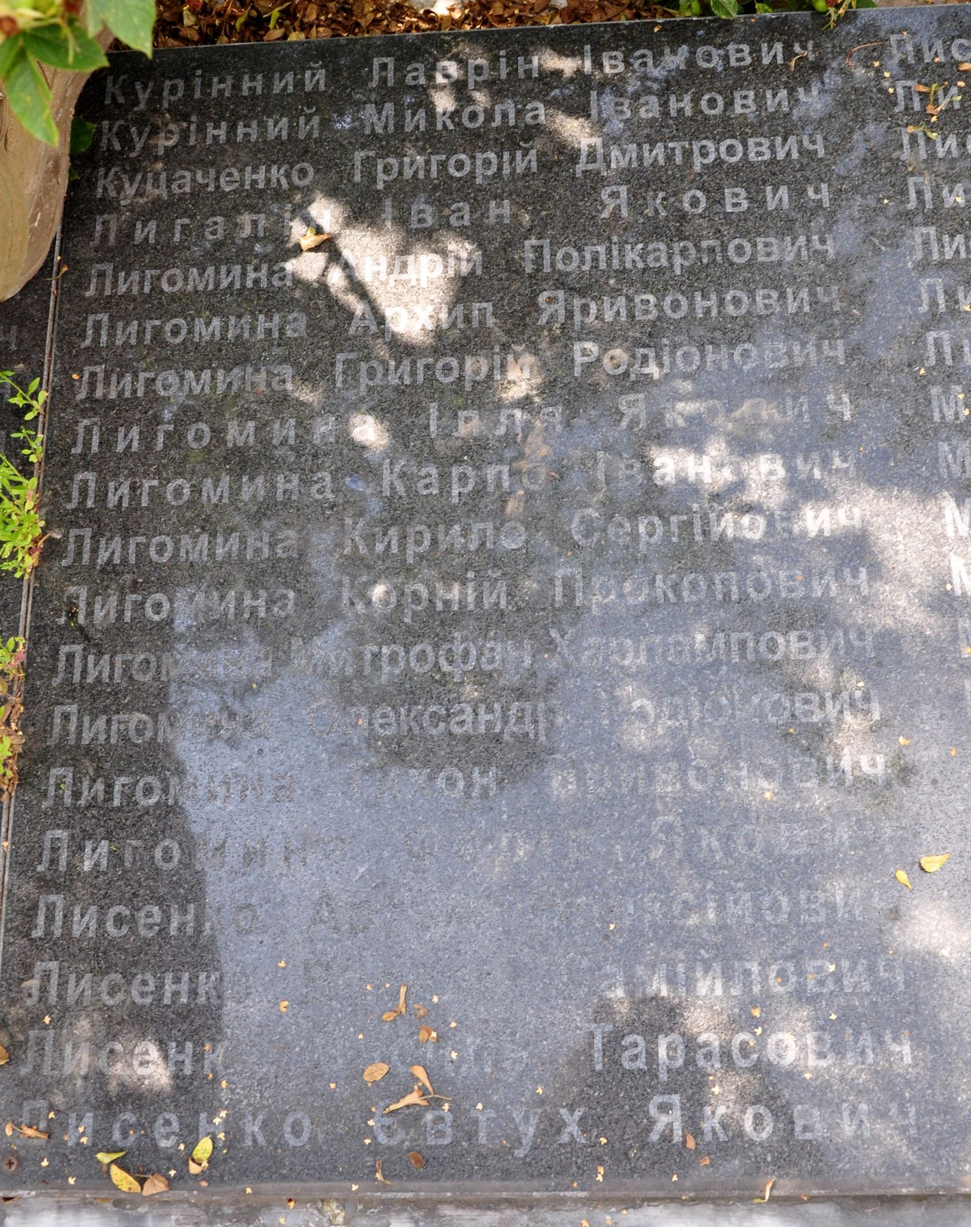 Памятник односельчанам в с. Великая Ольшанка Васильковского района