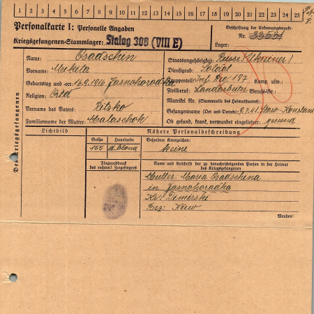 Осадчин Никита Рицкович