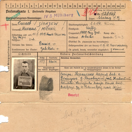 Сигаев Михаил Давидович