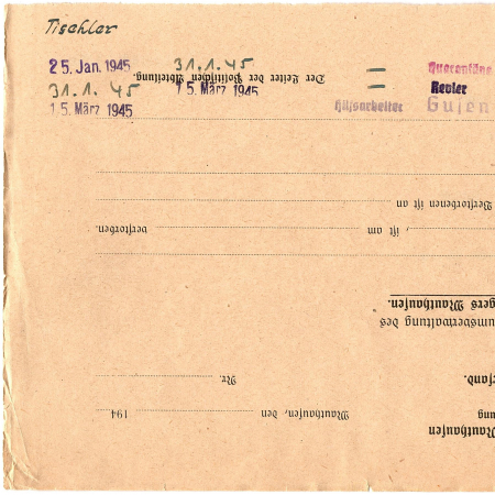 Стельмащук Николай