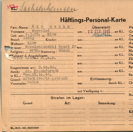 Михненко Всеволод Михайлович