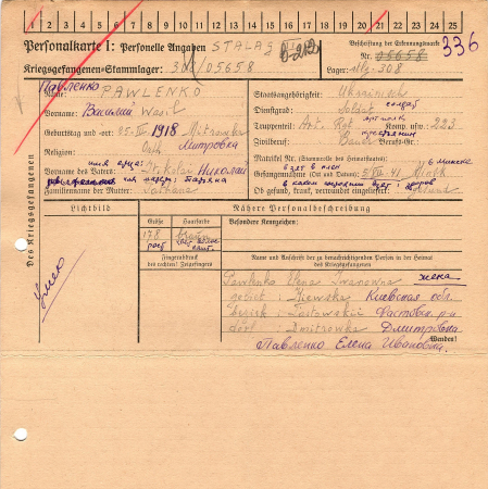 Павленко Василий Николаевич