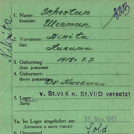 Шестак Никита Лукич