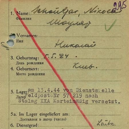 Шоуляр Николай Самуилович