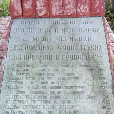 Мемориал в в с. Малая Чернявка Ружинского района