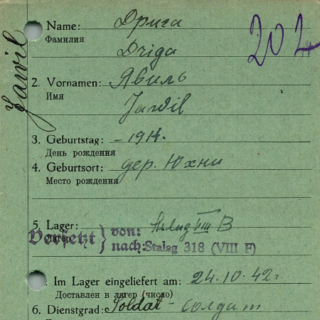 Дрига Явиль Александрович