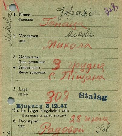 Гопаца Николай Васильевич