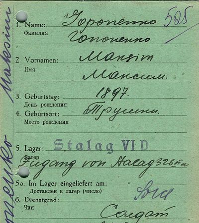 Гопоненко Максим Силович