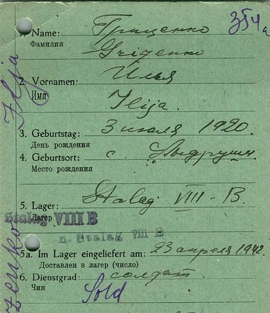 Гриценко Илья Михайлович