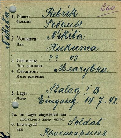 Ребрик Никита Михайлович