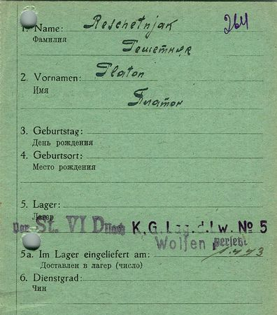 Решетник Платон Никитич