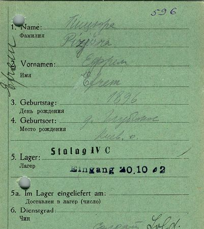 Пицюра Ефрем Иванович