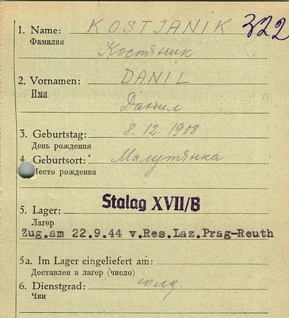 Костяник Данил Алексеевич