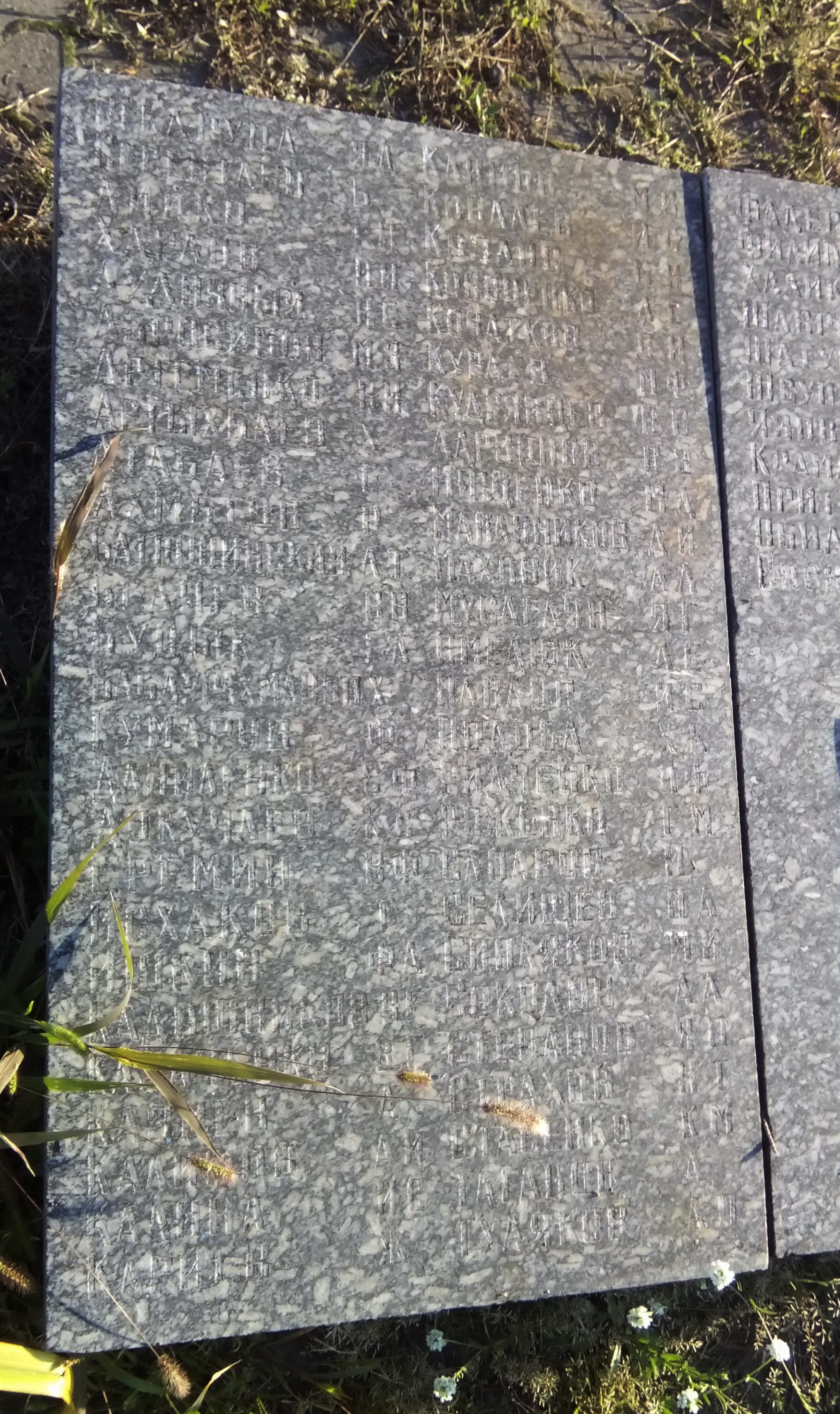 Братская могила в с. Дубиевка Черкасского района 