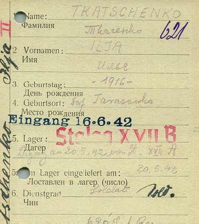 Ткаченко Илья Матвеевич