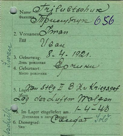 Трилубчук Иван Васильевич