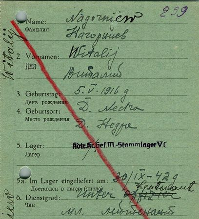 Нагорниев Виталий Прокофьевич