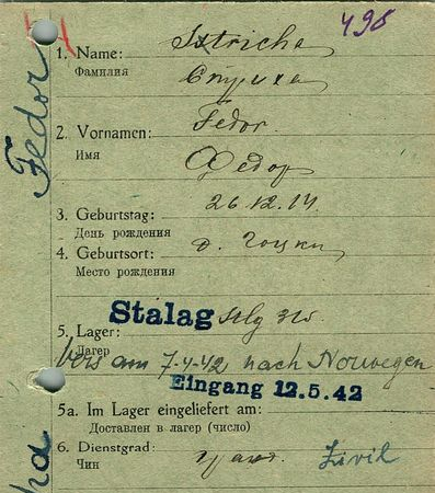 Стриха Федор Нестерович