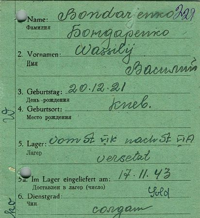 Бондаренко Василий Николаевич