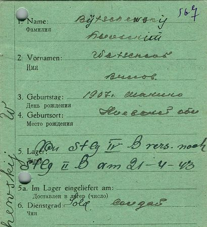 Бычевский Вячеслав Викторович