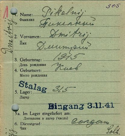 Пикельный Дмитрий Александрович