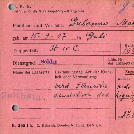 Губенко Максим Иосифович