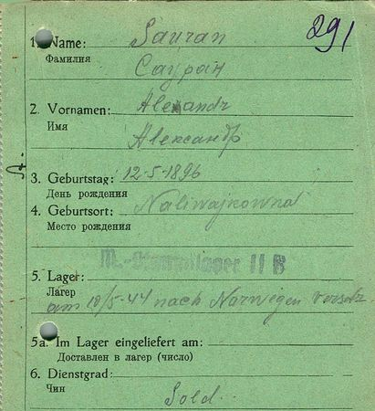 Сауран Александр Михайлович