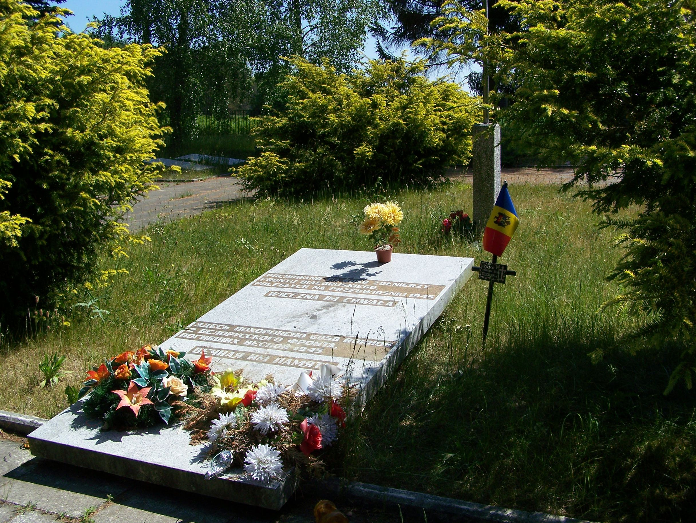 Воинское кладбище в с. Бояно