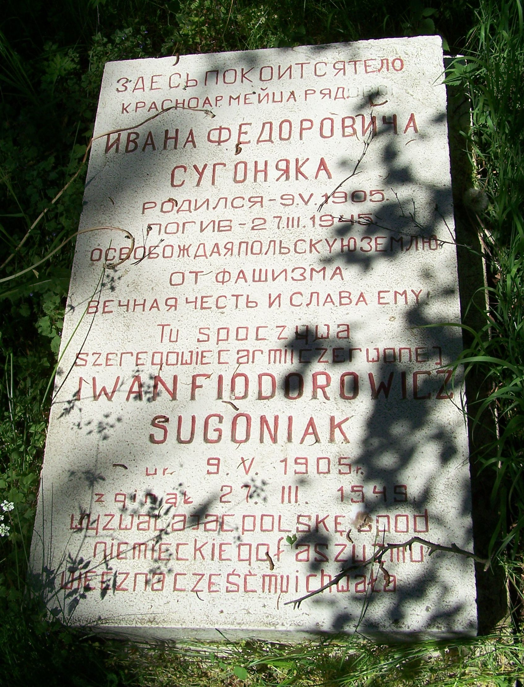 Воинское кладбище в с. Бояно